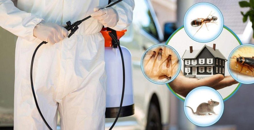 Gürün Böcek İlaçlama