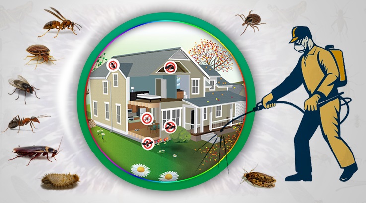 Gürün Böcek İlaçlama