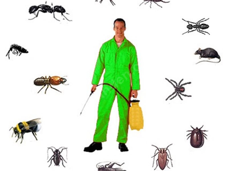 Gürün Böcek İlaçlama